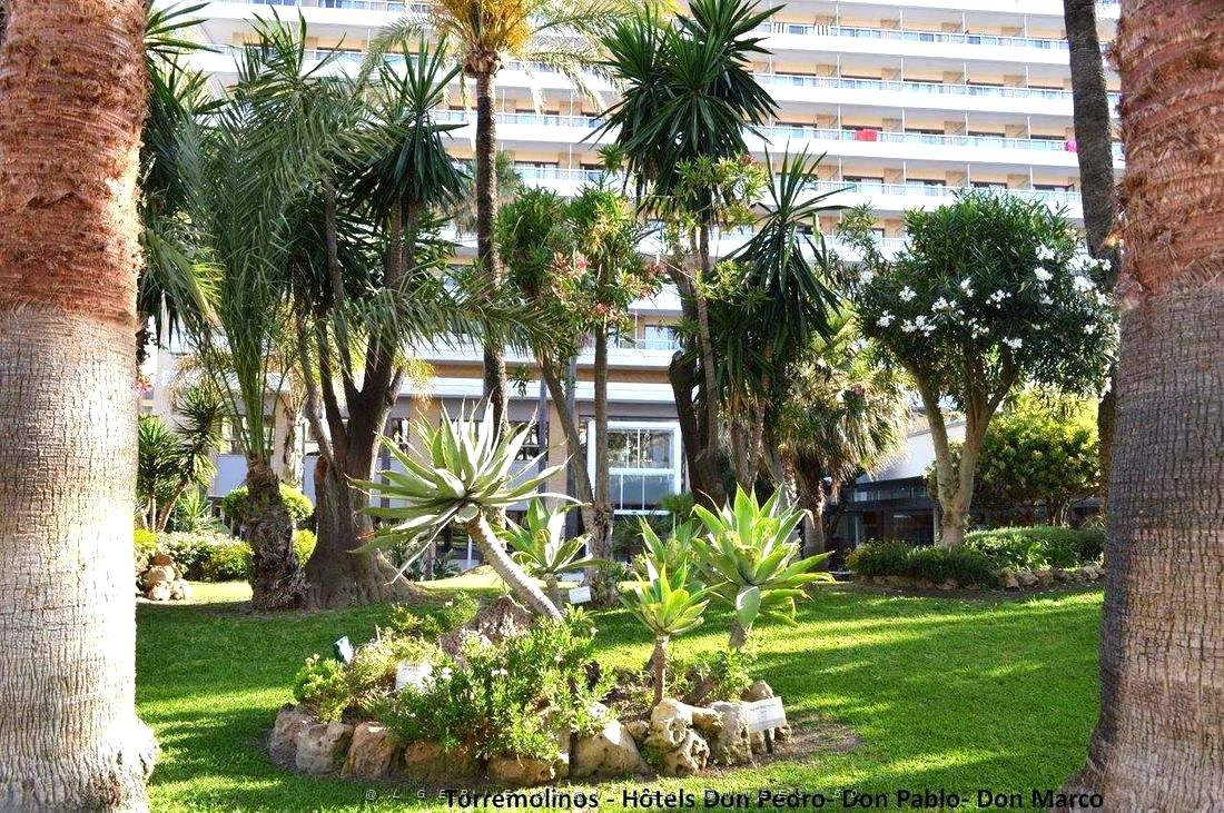 692- Torremolinos- Don Pablo- Don Pedro- Don Marco.JPG